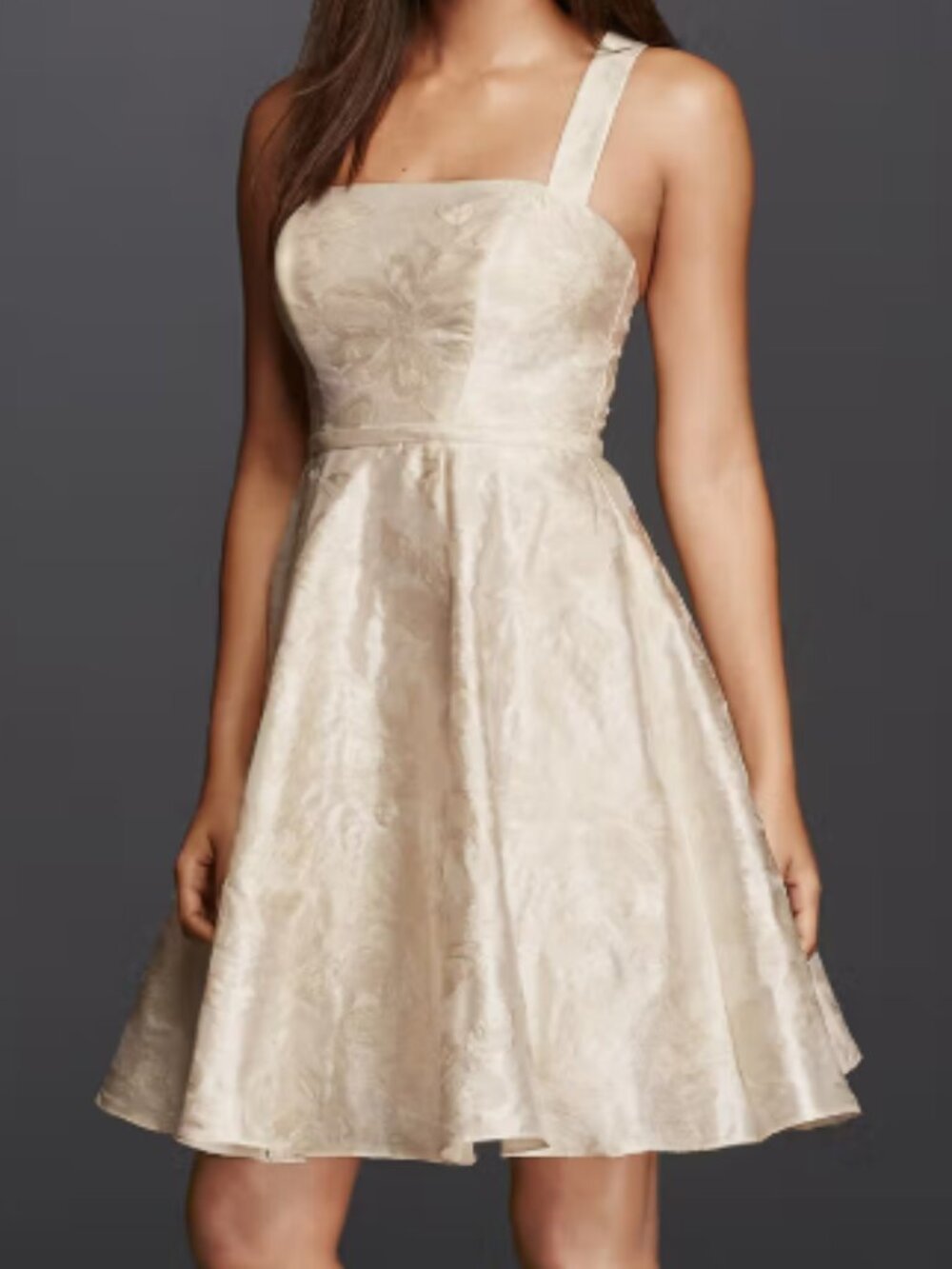DB Studio from David's Bridal Champagne dress